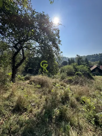 Prodej pozemku pro bydlení, Husinec, Husinecká, 3752 m2