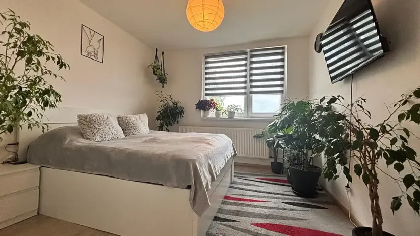 Prodej bytu 4+1, Orlová, Lesní, 78 m2