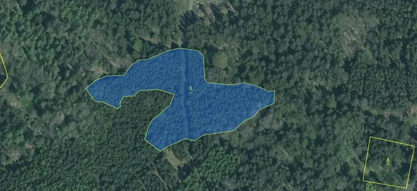 Prodej podílu lesa, Nové Mitrovice, 1057 m2