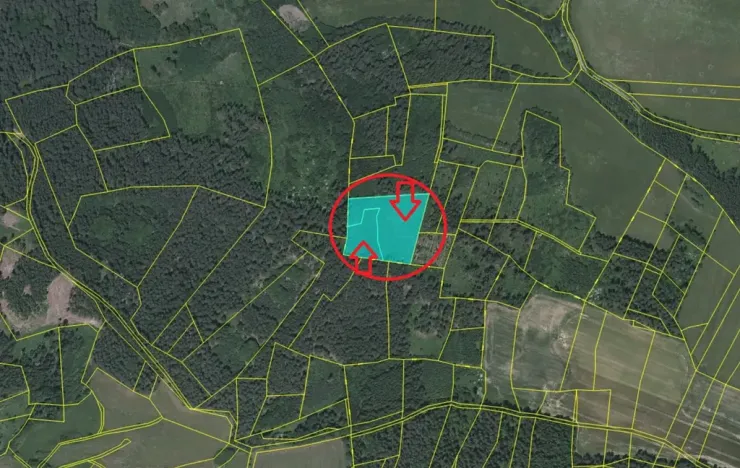 Prodej podílu lesa, Milejovice, 1918 m2