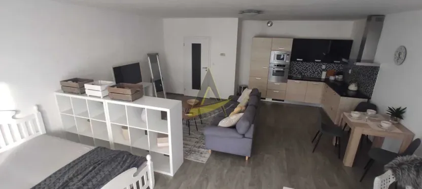 Pronájem bytu 1+kk, České Budějovice - České Budějovice 3, Jírovcova, 57 m2