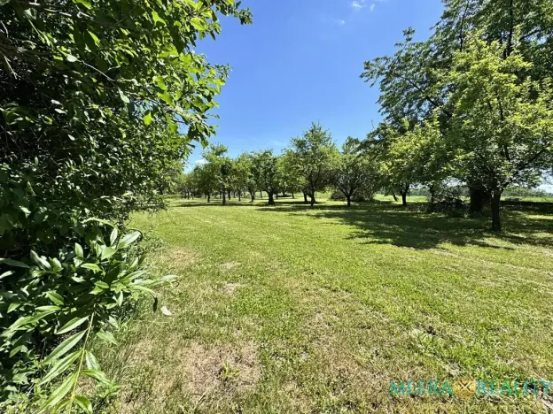 Prodej pozemku pro bydlení, Bílé Poličany, 2980 m2