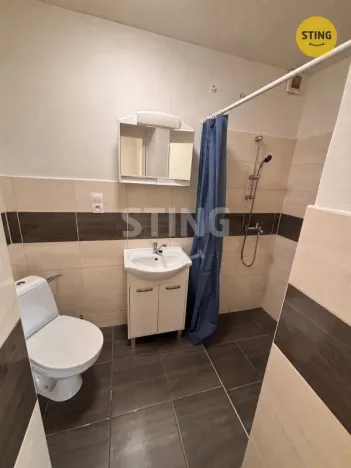 Pronájem bytu 1+kk, Opava, Statková, 29 m2