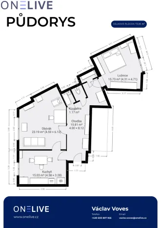 Prodej bytu 2+1, Plzeň, Čechova, 73 m2