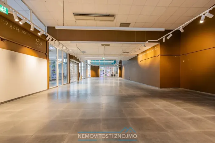 Pronájem obchodního prostoru, Chvalovice - Hatě, 274 m2
