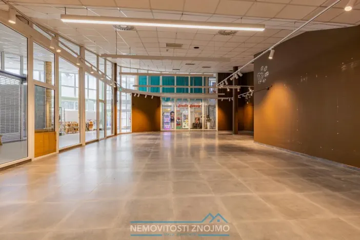Pronájem obchodního prostoru, Chvalovice - Hatě, 274 m2