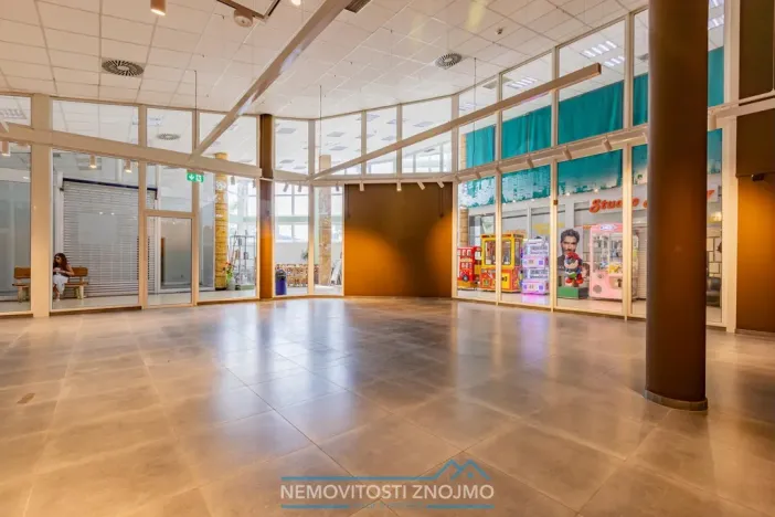 Pronájem obchodního prostoru, Chvalovice - Hatě, 274 m2