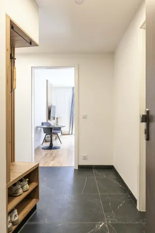 Prodej bytu 2+kk, Praha - Smíchov, U Blaženky, 53 m2