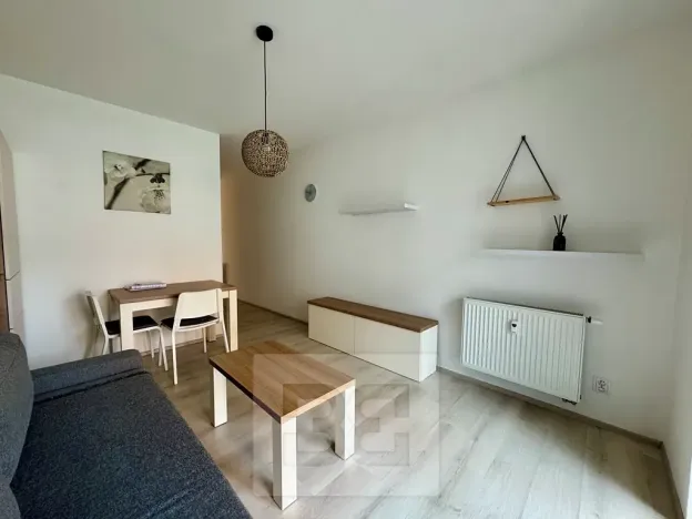 Pronájem bytu 1+kk, Brno, Husovická, 40 m2