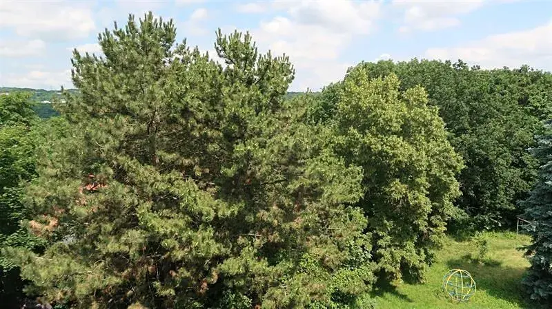 Pronájem bytu 3+1, Praha - Košíře, Naskové, 81 m2