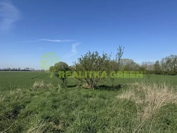 Prodej komerční nemovitosti, Holešov, 27330 m2