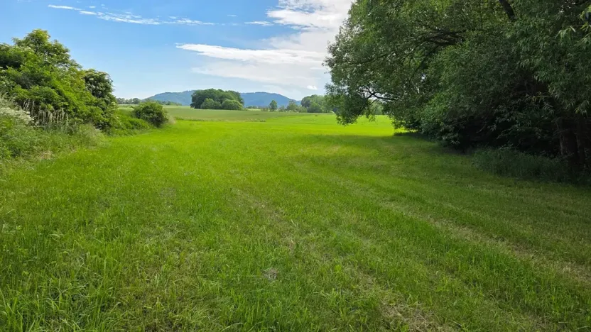 Prodej pozemku pro bydlení, Janovice, 1788 m2