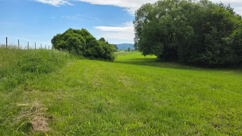 Prodej pozemku pro bydlení, Janovice, 1788 m2