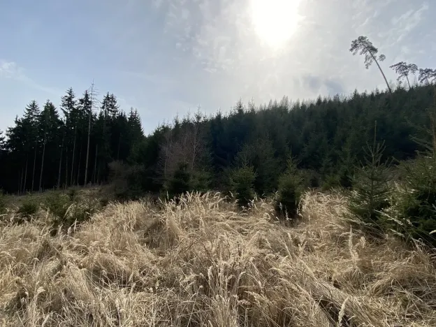 Prodej louky, Městečko Trnávka - Lázy, 1026 m2