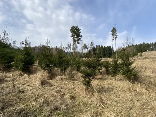 Prodej louky, Městečko Trnávka - Lázy, 1026 m2