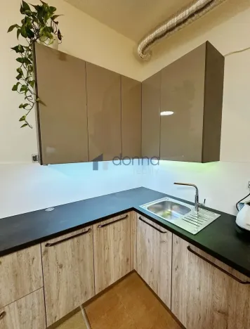Pronájem bytu 1+kk, Praha, Březenská, 66 m2