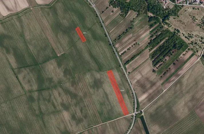 Prodej sadu/vinice, Kobylí, 33801 m2