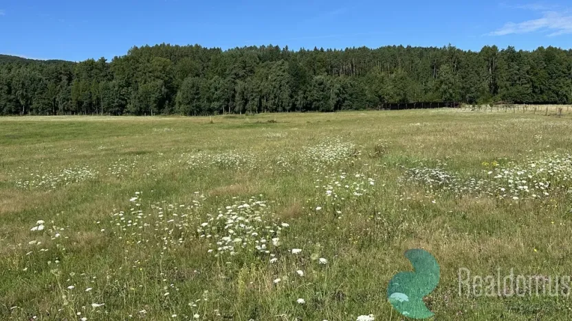 Prodej pozemku pro bydlení, Záboří - Dobčice, 78488 m2