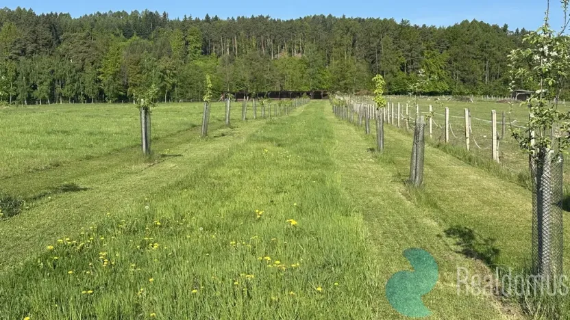 Prodej pozemku pro bydlení, Záboří - Dobčice, 78488 m2