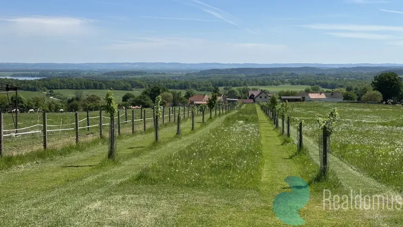 Prodej pozemku pro bydlení, Záboří - Dobčice, 78488 m2
