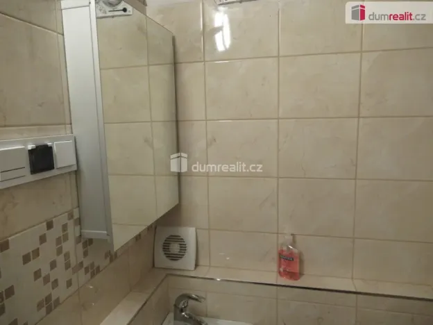 Pronájem bytu 1+kk, Zbuzany, V Zahradě, 22 m2
