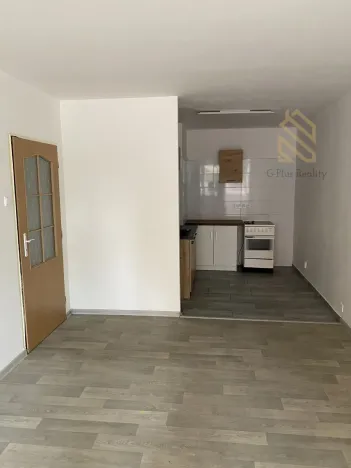 Pronájem bytu 2+1, Bílina - Pražské Předměstí, Fügnerova, 49 m2