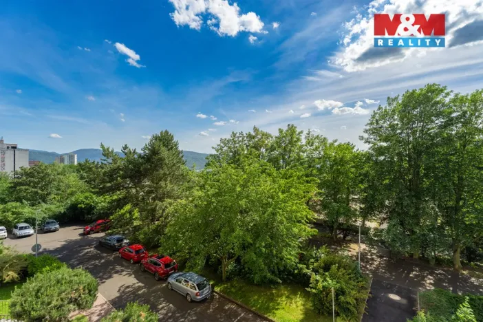 Prodej bytu 1+1, Ústí nad Labem - Severní Terasa, Švestková, 36 m2