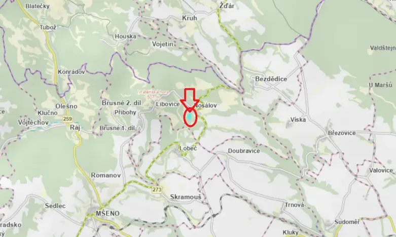 Prodej podílu lesa, Nosálov, 9083 m2