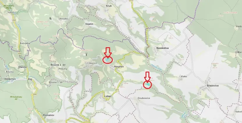 Prodej podílu lesa, Nosálov, 10723 m2