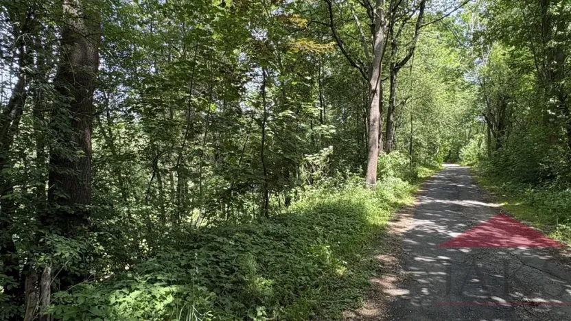 Prodej zahrady, Sušice, 4420 m2