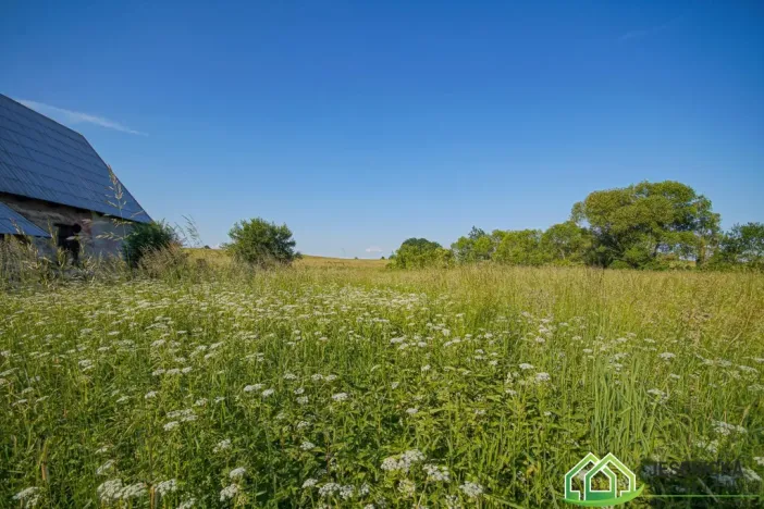 Prodej pozemku pro bydlení, Stará Červená Voda, 2477 m2