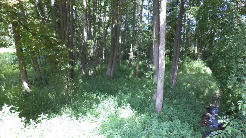 Prodej pozemku, Chodský Újezd - Nahý Újezdec, 1046 m2