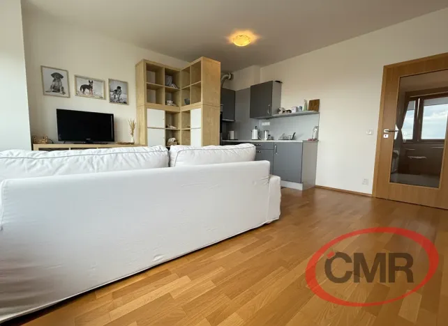 Pronájem bytu 1+kk, Praha, Teplická, 31 m2