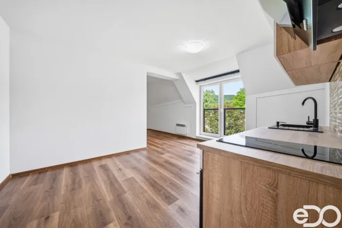 Prodej bytu 1+kk, Deštné v Orlických horách, 41 m2