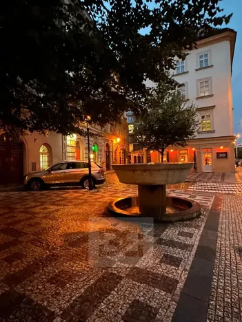Pronájem bytu 1+1, Praha - Nové Město, Petrská, 37 m2