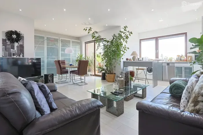 Prodej bytu 1+kk, Brno, Řípská, 47 m2