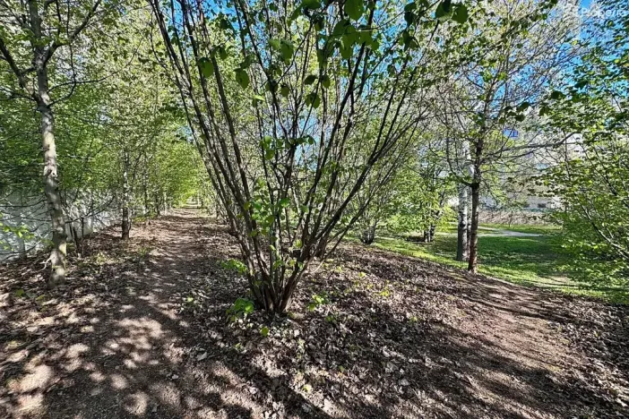 Prodej bytu 1+kk, Brno, Řípská, 47 m2