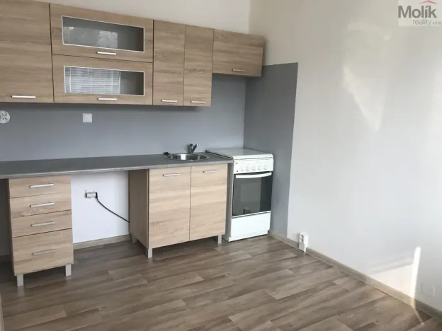 Pronájem bytu 3+1, Bílina - Pražské Předměstí, Alšova, 55 m2