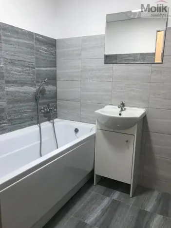 Pronájem bytu 3+1, Bílina - Pražské Předměstí, Alšova, 55 m2