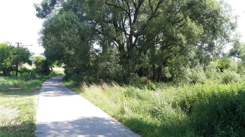 Prodej pozemku pro bydlení, Bouzov, 1563 m2