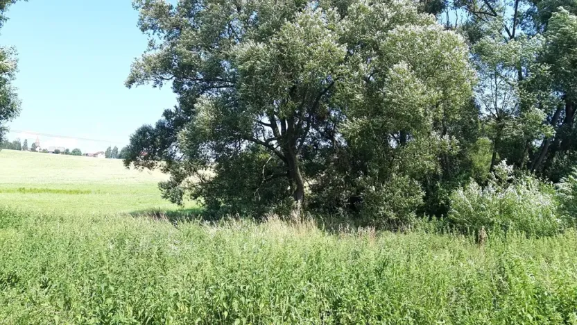 Prodej pozemku pro bydlení, Bouzov, 1563 m2