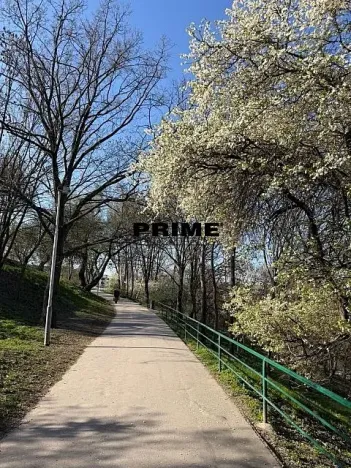 Pronájem bytu 3+kk, Praha - Žižkov, Prokopova, 154 m2