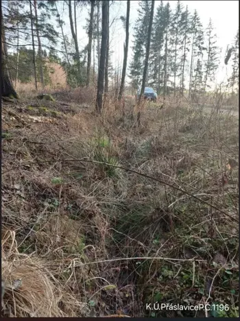 Prodej lesa, Přáslavice, 2463 m2
