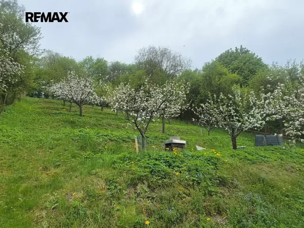Prodej chalupy, Březová nad Svitavou, Zářečí, 100 m2