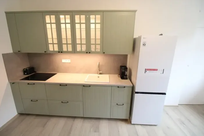Pronájem bytu 1+1, Praha - Nusle, Na Pankráci, 56 m2