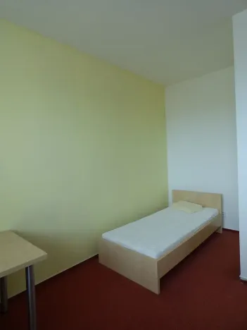 Pronájem pokoje, Brno, Vídeňská, 30 m2