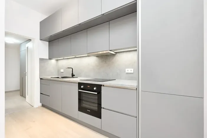 Pronájem bytu 1+kk, Praha - Žižkov, Hartigova, 45 m2