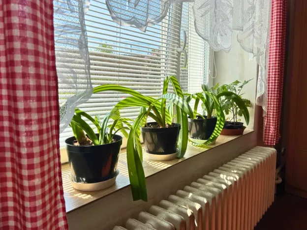 Prodej rodinného domu, Hrdlív, 130 m2
