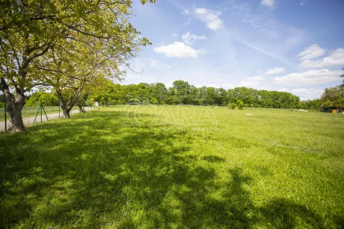 Prodej pozemku pro bydlení, Bukvice, 1400 m2