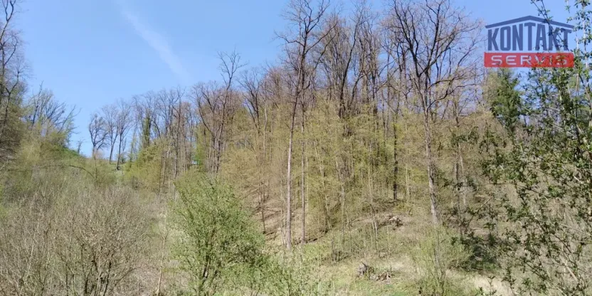 Prodej lesa, Kovanec, 21606 m2